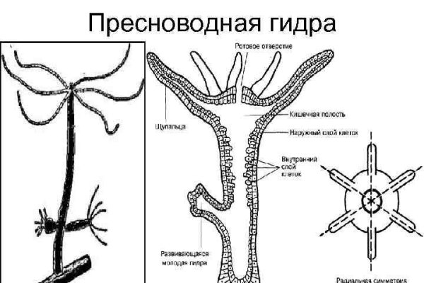 Площадка мега даркнет